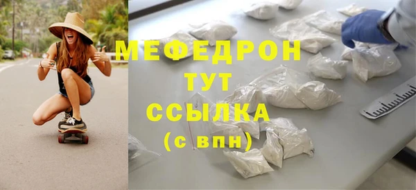 индика Аркадак