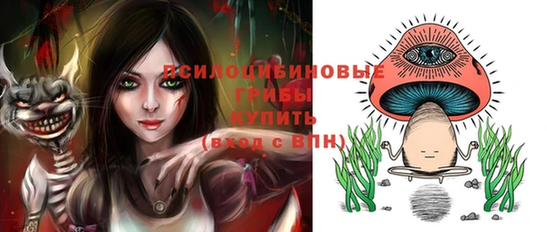 молекула духа Армянск