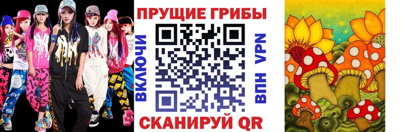Псилоцибиновые грибы Psilocybe  магазин    Бор 